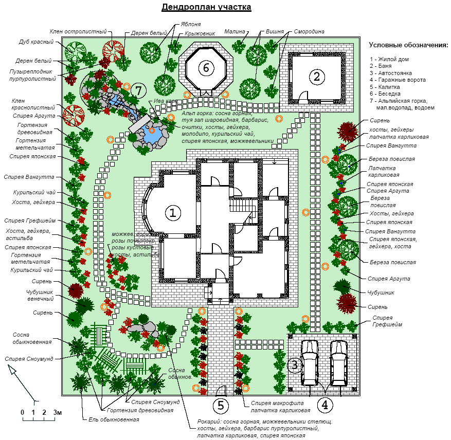 Дендроплан участка