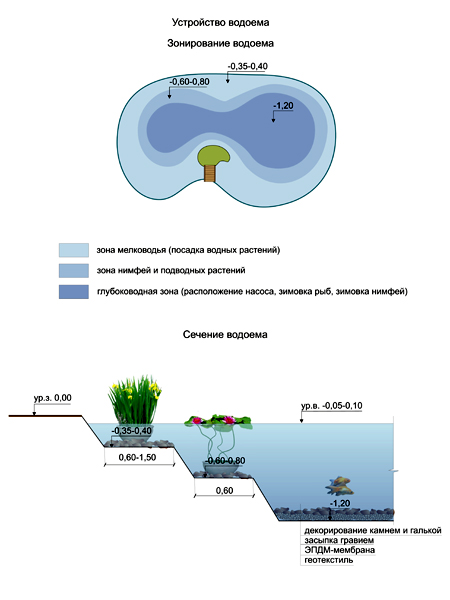 Искусственная глубина. Схема устройства пруда для разведения рыбы. Устройство искусственного водоема чертеж. Искусственный пруд чертеж. Чертеж пруда для разведения рыбы.